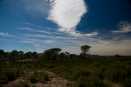 16.09.2010 - Le Pin de la Legue - 1/1500 Sek. bei f / 3,5 - Brennw.:17.01 mm